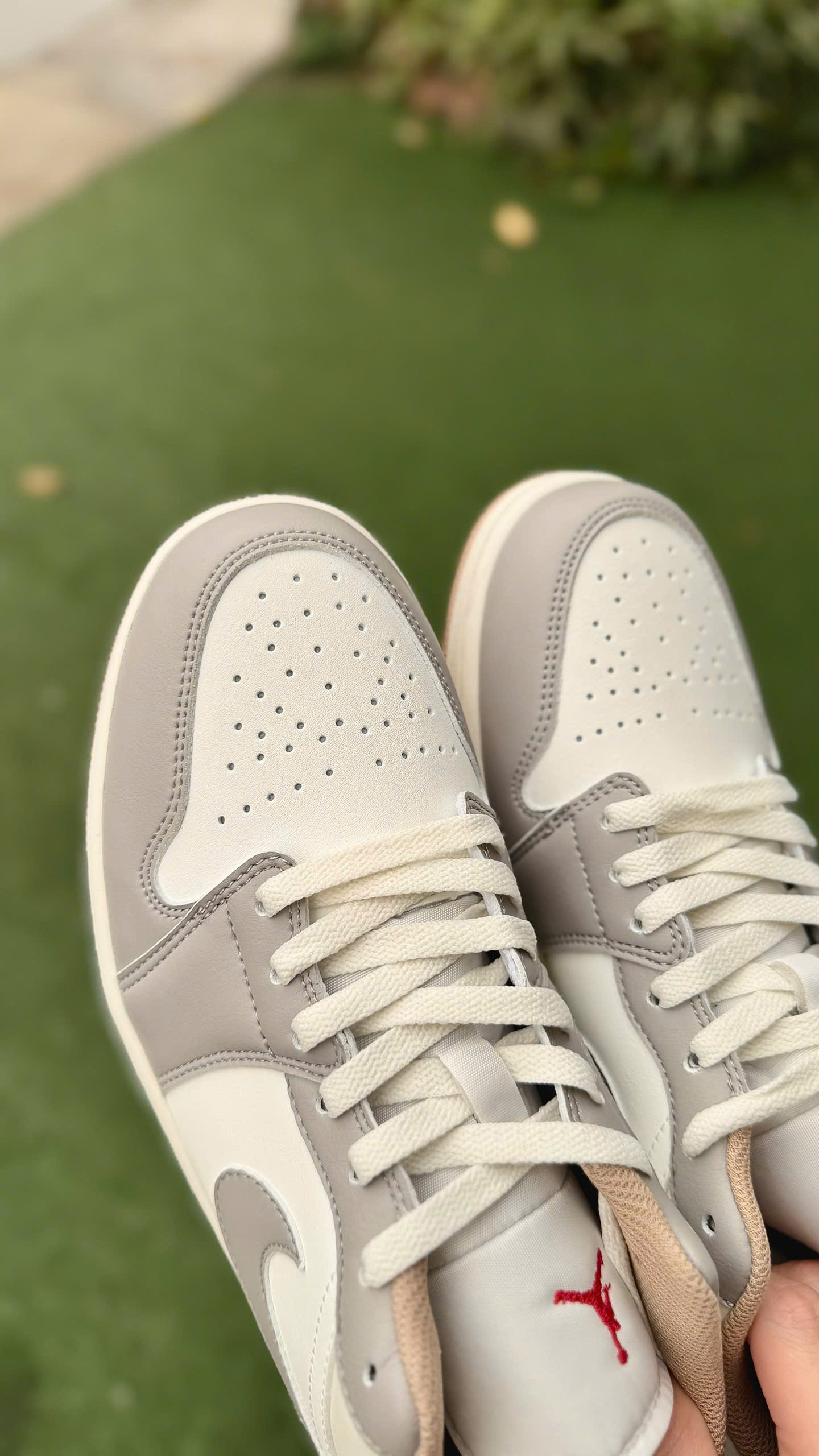 Jordan 1 Low Red College Grey - Ảnh 5
