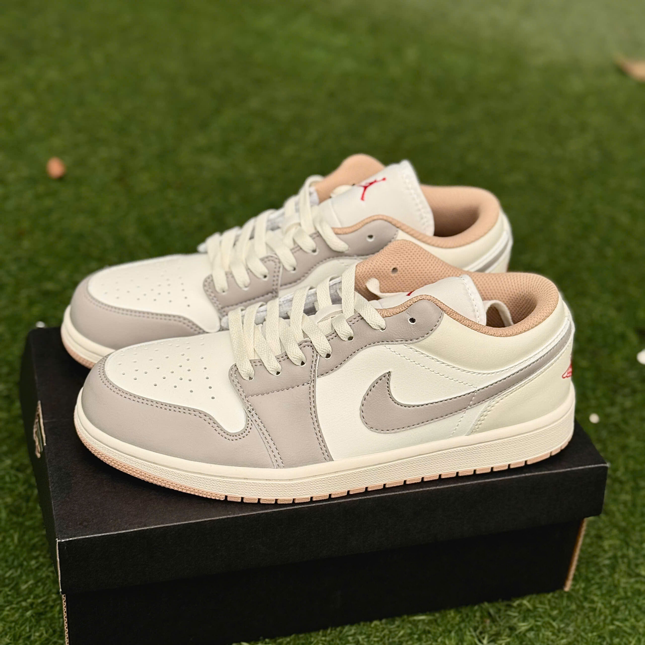 Jordan 1 Low Red College Grey